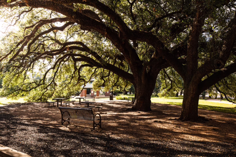 BaldwinPark-26