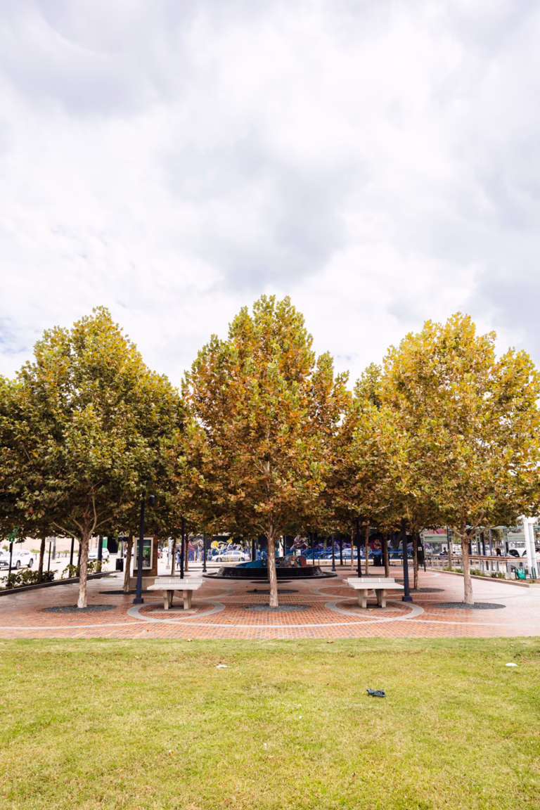 Midtown_Park_Plaza-14