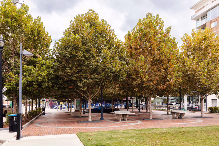 Midtown_Park_Plaza-15