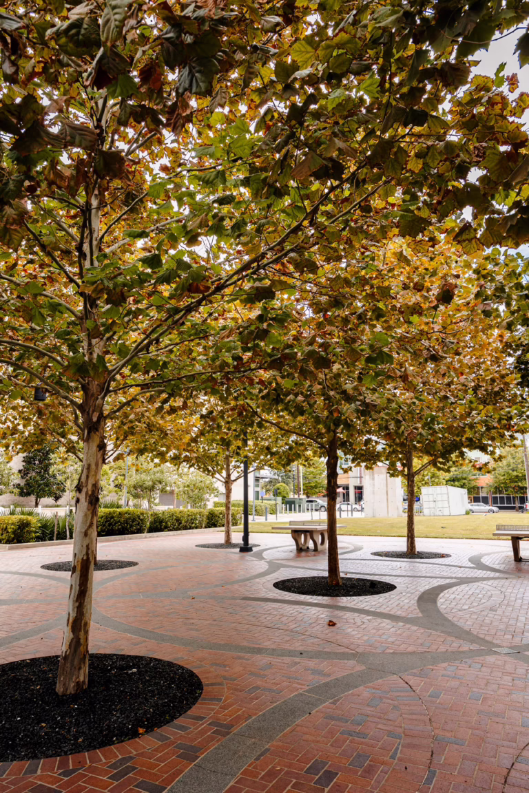 Midtown_Park_Plaza-21